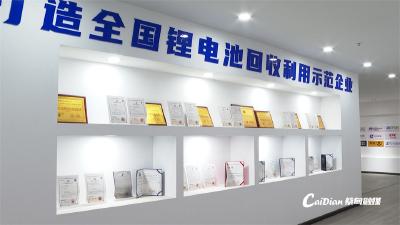 蔡甸智造扬帆出海丨蔡甸这家企业梯次利用技术让回收电池“再生”闯国际市场