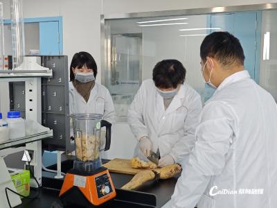 蔡甸莲藕为何粉糯可口？重磅检测报告给出答案