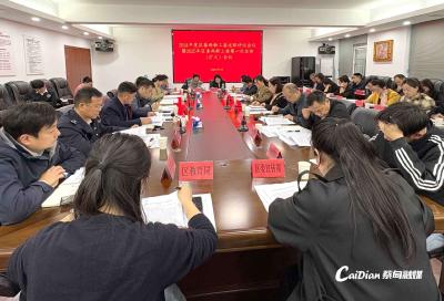 蔡甸区召开2024年度区委两新工委述职评议会议暨2025年重点工作部署会议