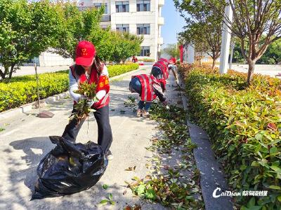 蔡甸企业志愿者助力环境整治 传递文明新风