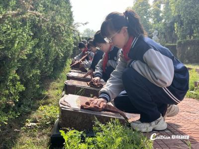 蔡甸区退役军人事务局举行清明祭英烈活动