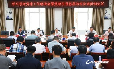 蔡甸区新兴领域党建工作座谈会暨党建引领基层治理协调机制会议召开