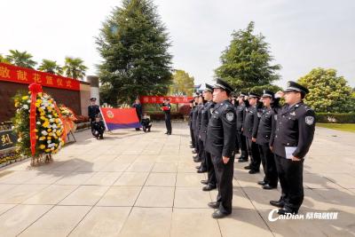 蔡甸公安青年民警清明祭英烈