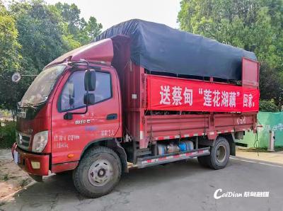 千年藕种科技改良归来 蔡甸莲藕新品试种表现惊艳