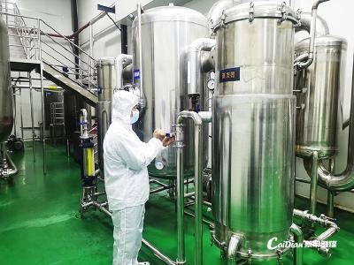  年出口三千余吨！蔡甸生态蜂蜜“甜蜜”出海