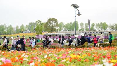 火出圈！“五一” 蔡甸文旅霸屏主流媒体