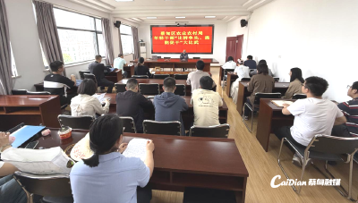 四大比拼·年轻干部大比武丨蔡甸区农业农村局：青春筑梦三农 比武争当先锋