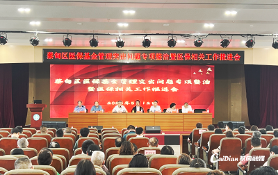 蔡甸区推进医保基金管理突出问题专项整治