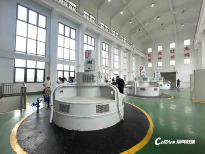 蔡甸区人大常委会视察防汛备汛抗旱及污水处理厂建设工作