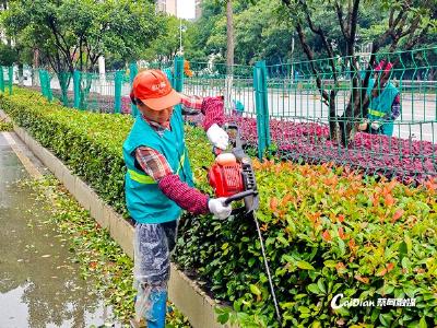 市民舒心，蔡甸城市门户“美颜”升级