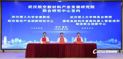 “政产学研用”协同发力 蔡甸区航空新材料产业发展驶入“快车道”