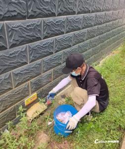 蔡甸区多措并举防蚊灭蚊 筑牢夏季卫生防线
