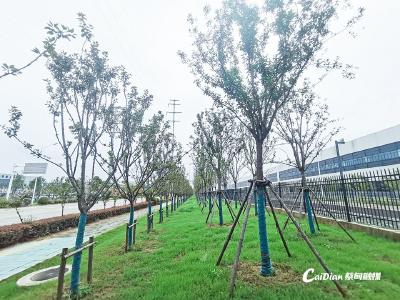从“工业干道”到“生态廊道”，蔡甸这条路的变身太惊艳！