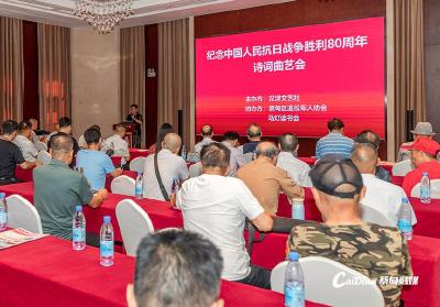 蔡甸汉津诗社：文艺汇演传承抗战精神