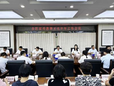 蔡甸区召开2025年宣传思想文化半年工作会议