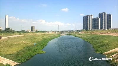 水清岸绿！蔡甸朝阳河变身生态乐园