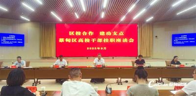 蔡甸区召开高校干部来区挂职座谈会