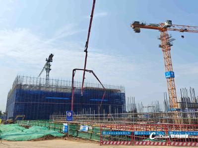 蔡甸区政协视察全区重点项目建设
