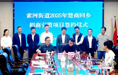 楚商回乡投资 索河街道集中签约6个项目总金额8亿元