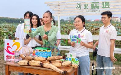 文学赋能“藕”遇新机 华师学子藕塘边开播助农