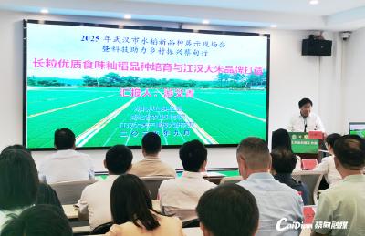 来年种什么稻种好？蔡甸这场农业科技“及时雨”送来答案也送来“宝”