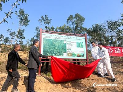 东风本田与蔡甸区共建“悦・蓝天”碳中和林基地