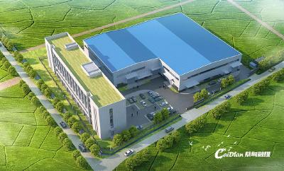 蔡甸永安：产业项目建设进度条拉满