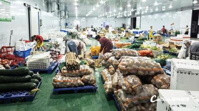 蔡甸供销对接省中旅集团 共推农商旅融合发