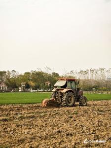 蔡甸智慧农业，让种地变简单
