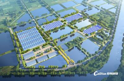 蔡甸“健身鱼”将游向全国市场