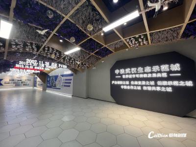 链接全球 蔡甸区招商中心正式启用