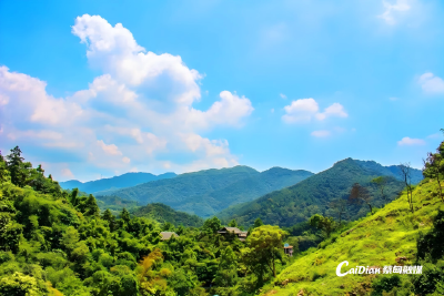 一眼心动！蔡甸70座山有了颜值定位，四季美景不重样