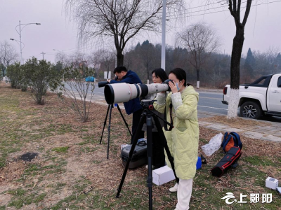 郧阳区：护越冬水鸟 保自然环境 创和谐生态 享绿色家园