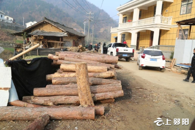 郧阳区：焚下山疫木 护万松苍翠