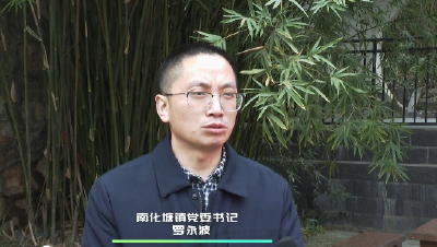 【能力作风大家谈】南化塘镇：以过硬能力作风助推高质量发展