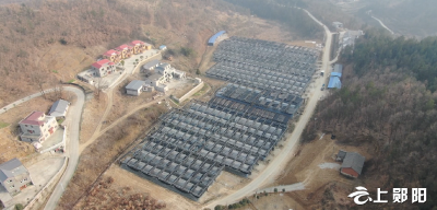 【抢占新赛道 奋进开门红】昌欣香菇公司：挖潜增效扩产提质 实现产销“开门红”