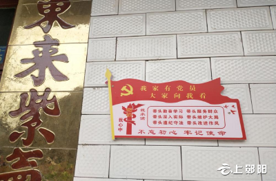 郧阳区刘洞镇：我家有党员 大家向我看