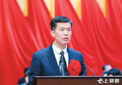 胡先平：建好资源资本平台   推动招商提质增效