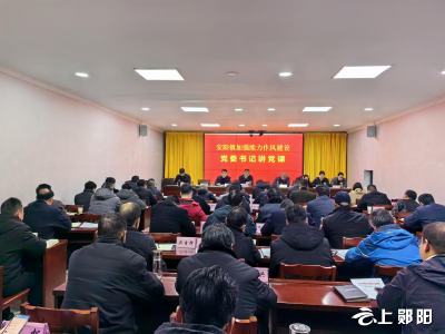 【能力作风建设在行动】安阳镇党委书记讲党课