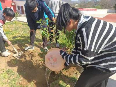 黄柿初级中学：植此青绿 根植梦想  