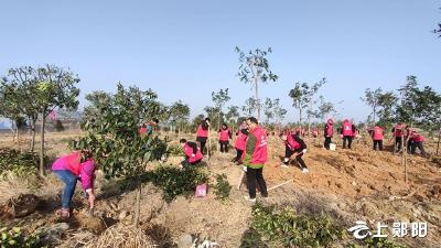 郧阳区卫生健康局：开展义务植树  建设“绿美郧阳”
