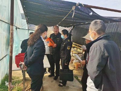 【能力作风建设在行动】郧阳区市场监管局为樱桃沟村旅游发展保驾护航