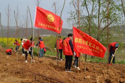 郧阳小草义工协会开展“践行生态文明 弘扬雷锋精神”主题党日活动