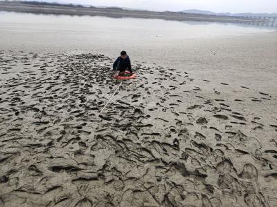 “好奇宝宝”深陷泥潭无法自拔   消防员徒手清淤助其脱困