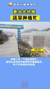 阳春三月，气温逐渐回升。郧阳区柳陂镇菜农抢抓时节春播蔬菜，种下丰收增收的希望。