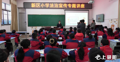 新区小学:开展法治宣传教育  增强学生自我保护能力