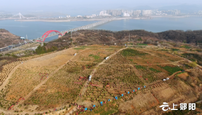 郧阳1000余名党员干部群众集中参与义务植树活动 