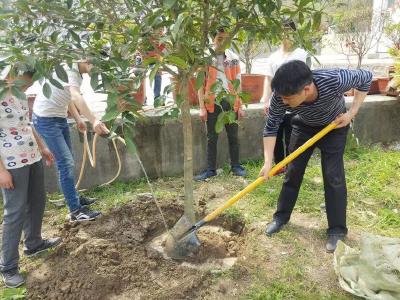 大手拉小手 共植连心树