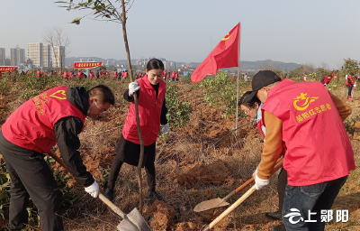 区机关事务服务中心：最是一年春光好 植树造林正当时