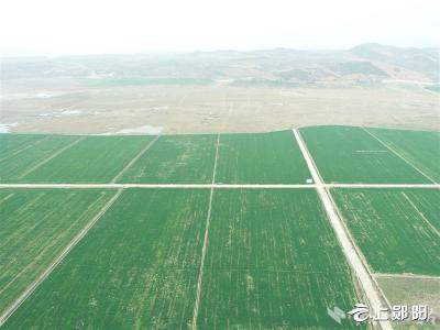 郧阳5年改造17万亩高标准农田